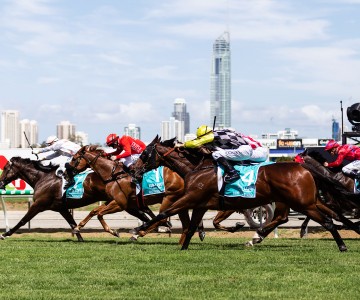 GCTC Magic Millions 2019 395